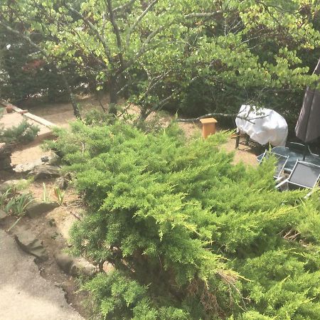 אמלי-לה-באינס-פללדה Appartement Calme De 48M2 מראה חיצוני תמונה