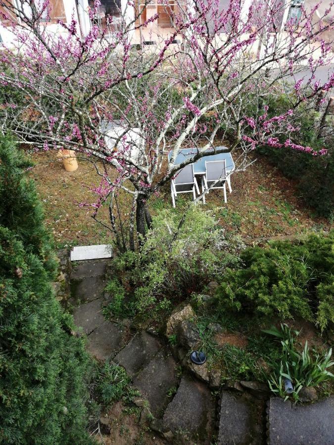 אמלי-לה-באינס-פללדה Appartement Calme De 48M2 מראה חיצוני תמונה